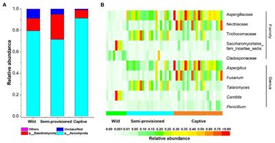 Captivity Is Associated With Gut Mycobiome Composition in Tibetan Macaques (Macaca thibetana)